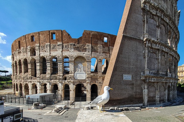 Colosseum Rome with Seagull – Spring Day